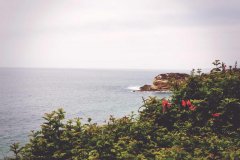 领英账号如何提高稳定性？账号 longevit
