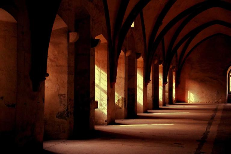 市场对比