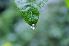 Telegram机器人营销：自动化服务的用户体