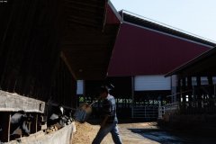 美国LinkedIn真人老号最新规则：权重