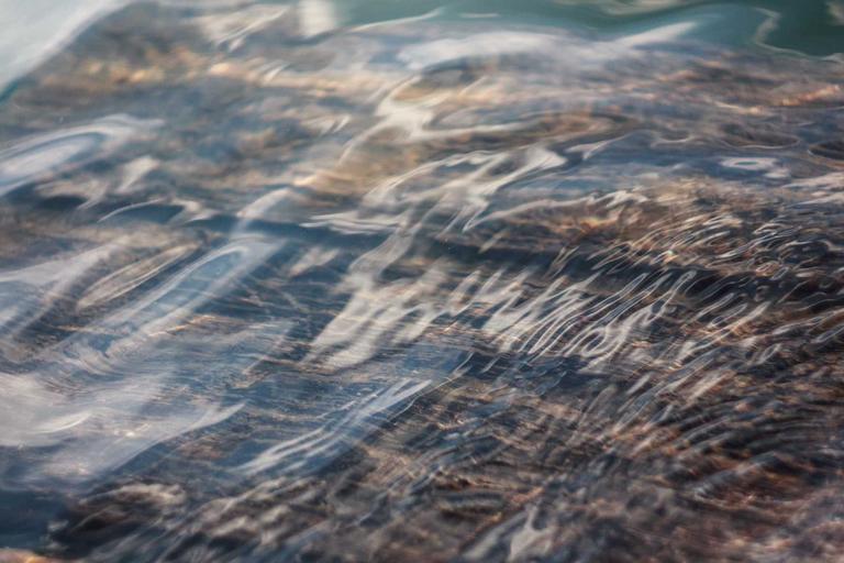 tiktok小白号0到千粉最快15天？涨粉SOP每天做什么全公开